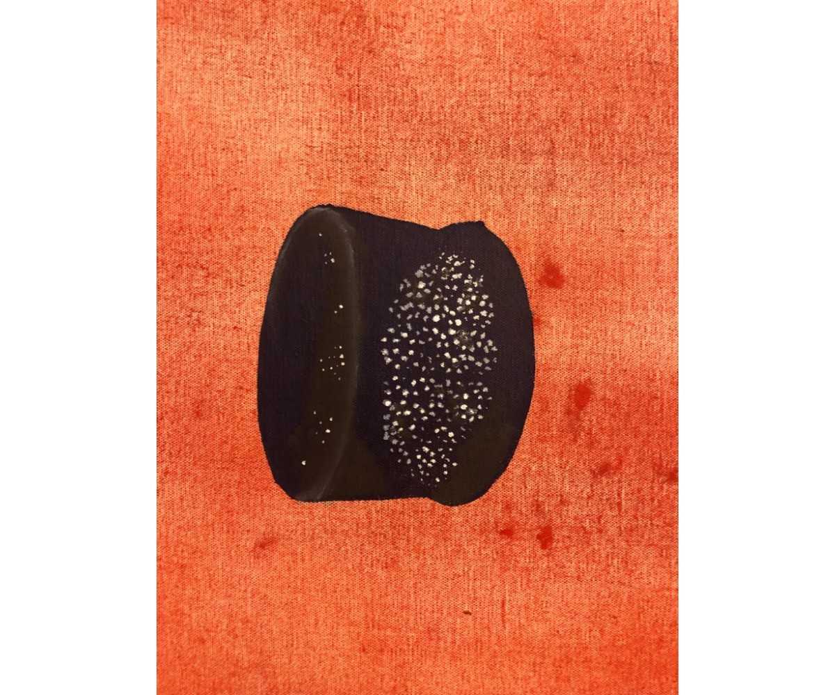 Neznani predmeti VII