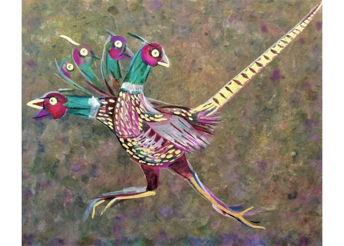 Phasianus Colchicus Royal L