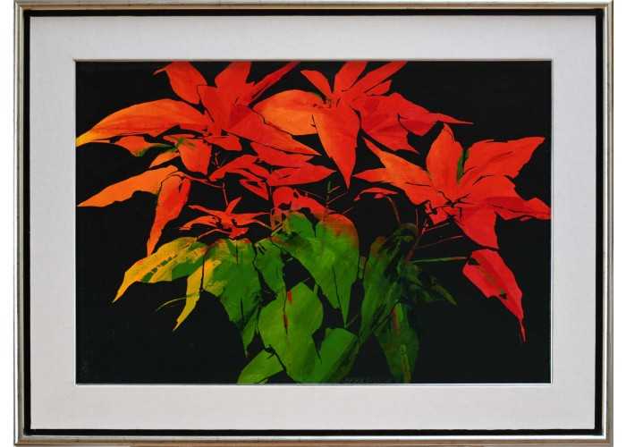 Božična zvezda, 1999