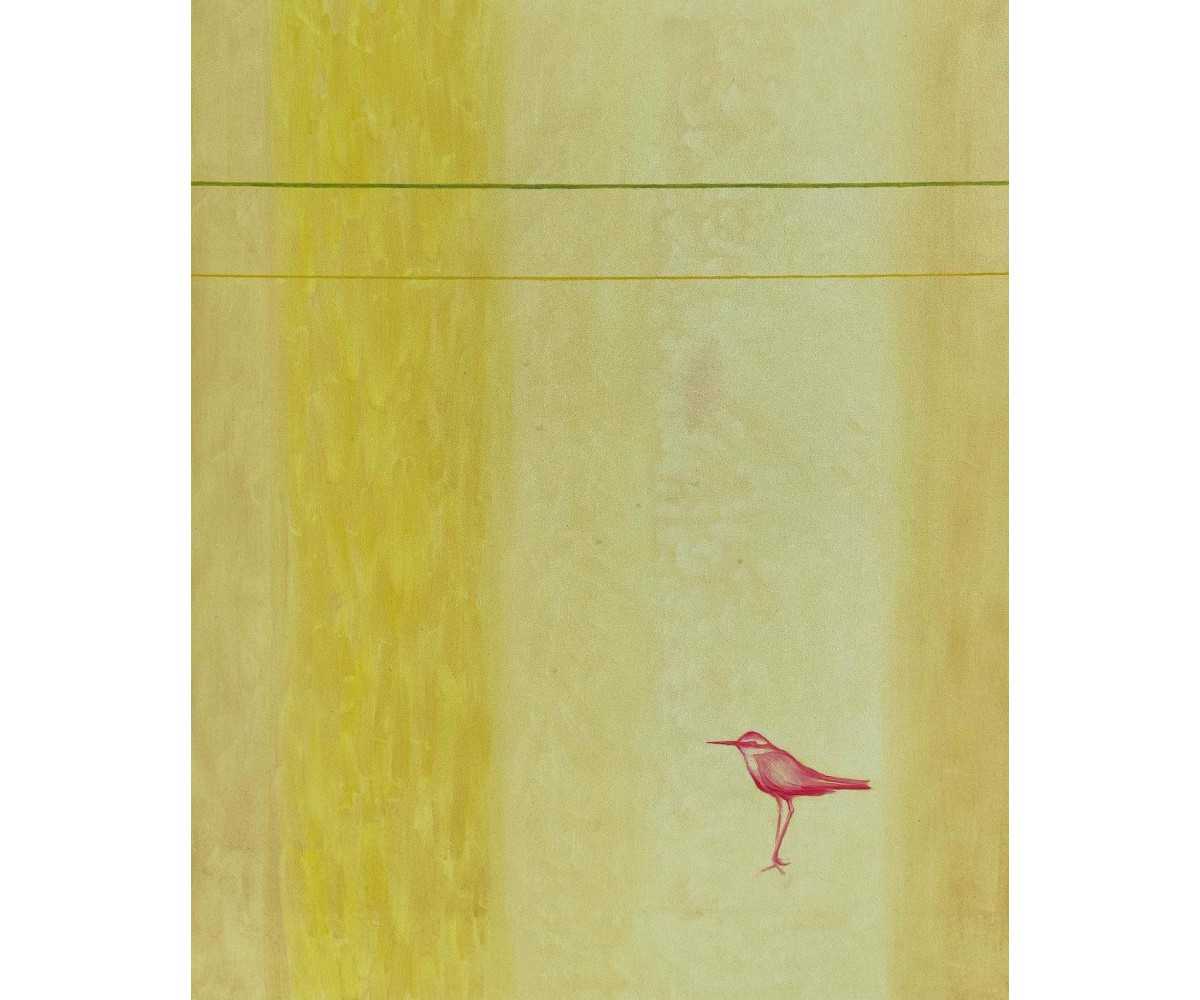 Mediteranska pokrajina