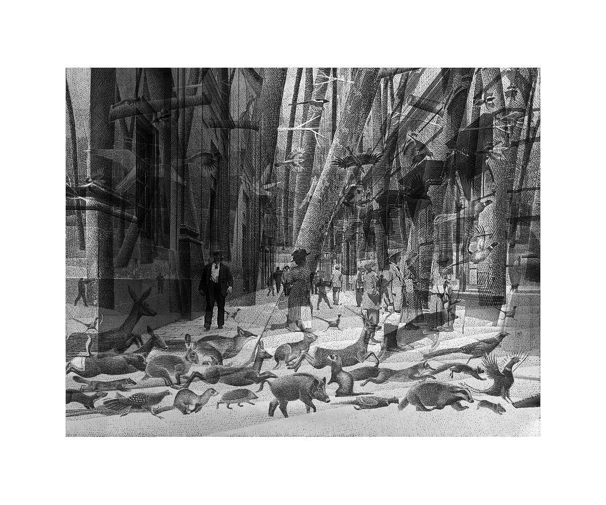 Lov / Bambi, Dunaj - arhivski odtis - mala