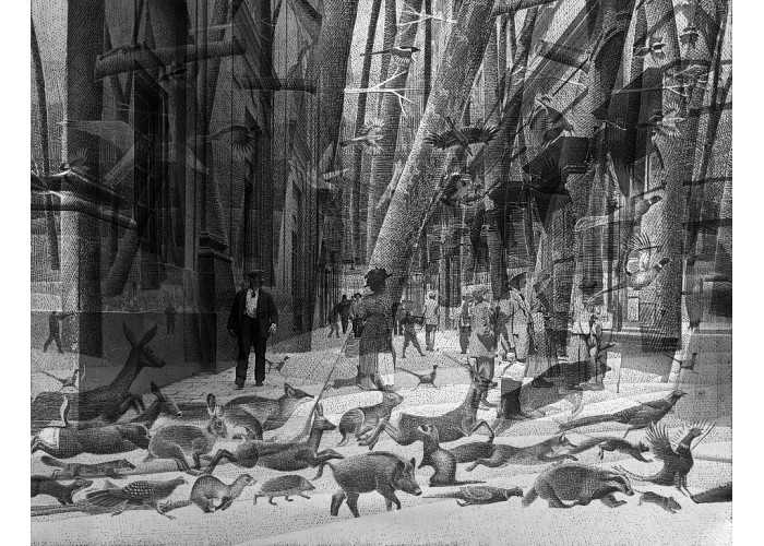 Lov / Bambi, Dunaj - arhivski odtis - velika