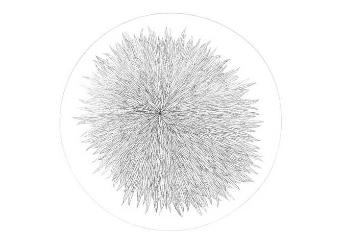 Iz cikla sanje: Vrba