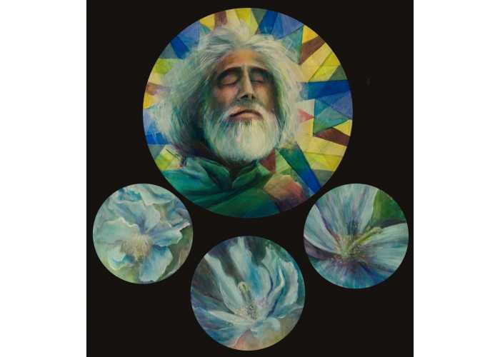 Lepota človeške rase - Himalajski mak