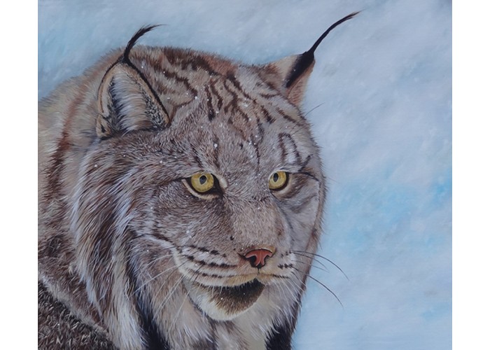 Idillyc Winter of Lynx