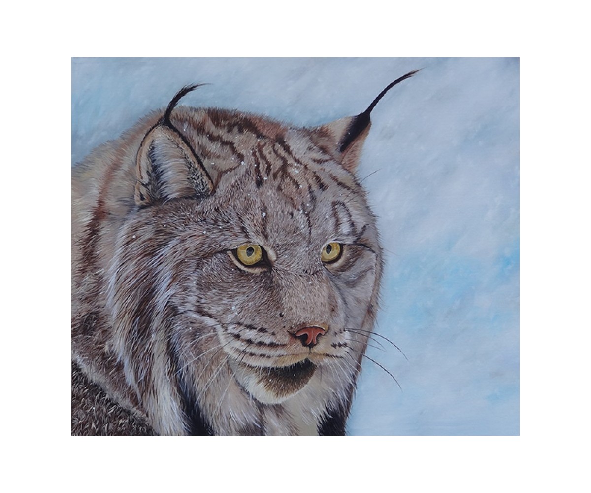 Idillyc Winter of Lynx