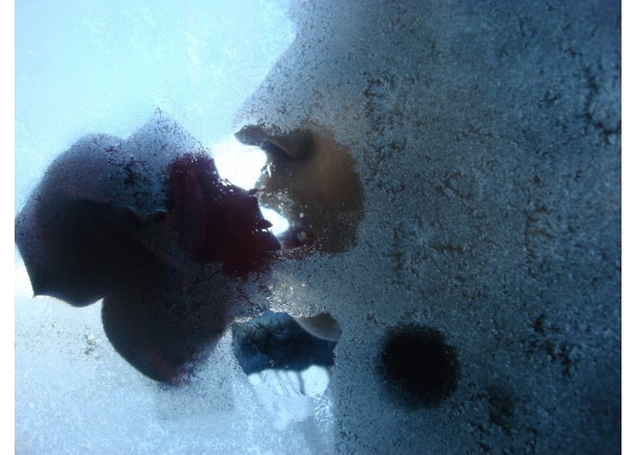 Uspavanka za jutri 8