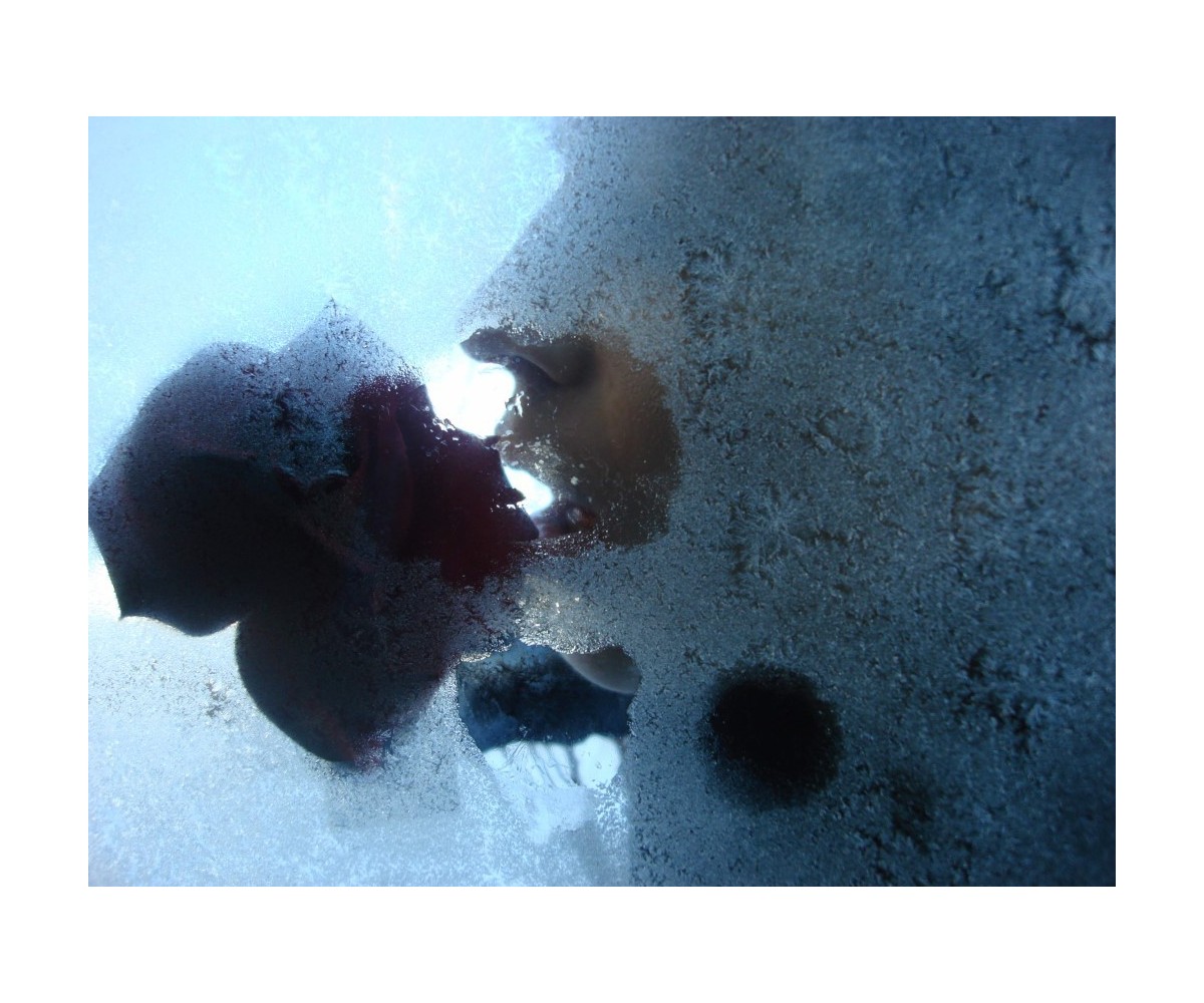 Uspavanka za jutri 8