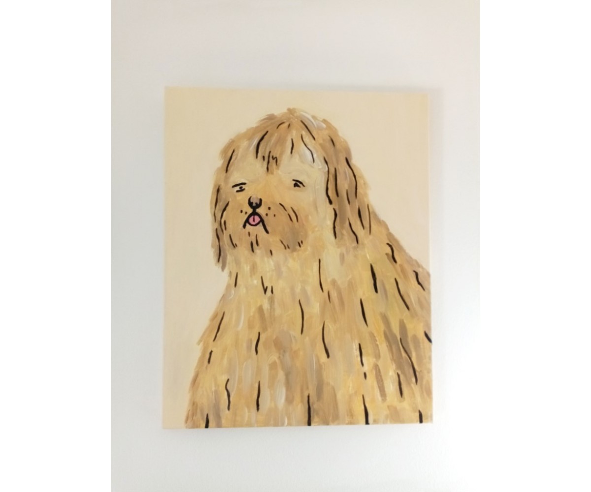 Dogo