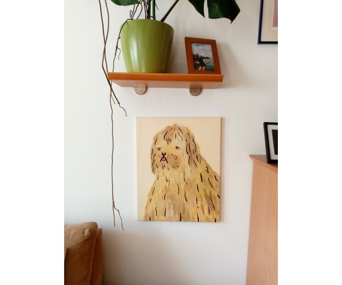 Dogo